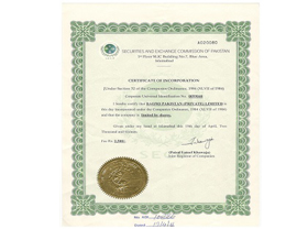 LICENSE OF PAKISTAN COMPANY