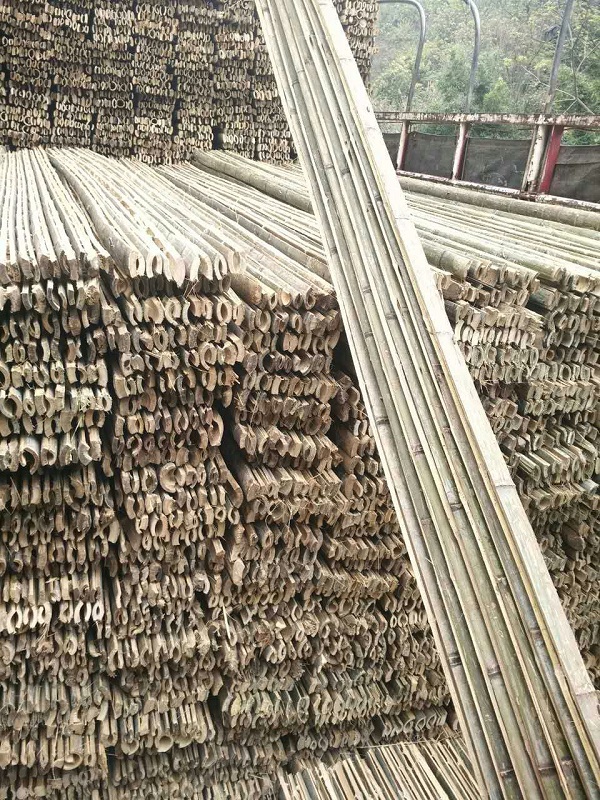 Bamboo and wood springboard